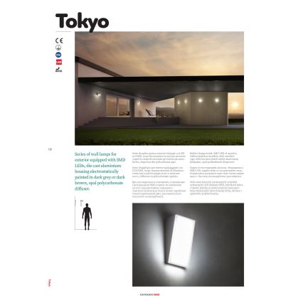 redo 90017 - Utomhus LED Väggbelysning TOKYO LED/12W/230V IP54