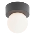 Redo 90641 - Taklampa för utomhusbruk BULK 1xE27/28W/230V IP44 antracit