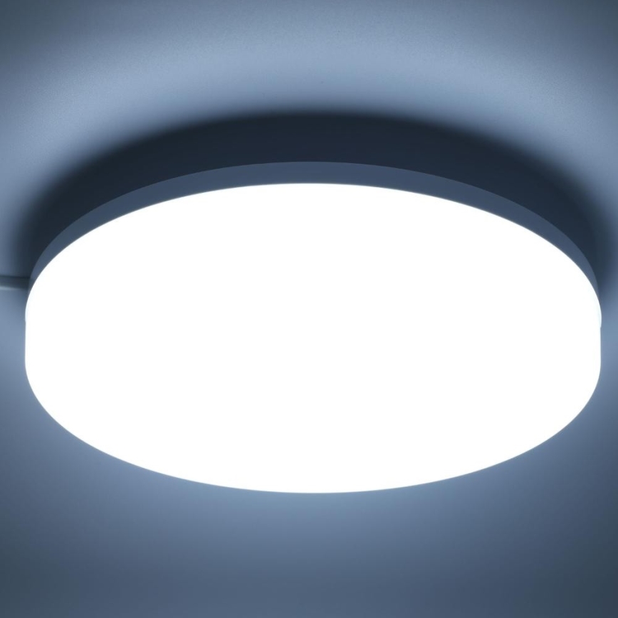 LED RGBW Ljusreglerad vägglampa för badrum LED/20W/230V Wi-Fi IP44 vit