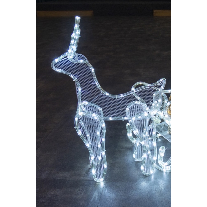 LED Utomhus juldekoration LED/12W/230V IP44 ren