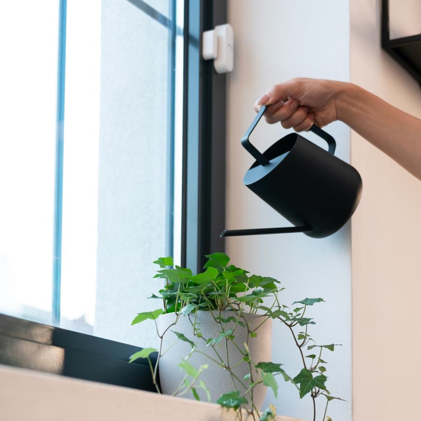 Smart fönster- och dörrsensor 2xAAA