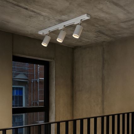 Riktbar spotlight för skensystemet PIPE 3xGU10/10W/230V, vit
