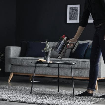 Rowenta - stavdammsugare X-FORCE FLEX ANIMAL CARE 320W/25,2V svart 2000 mAh