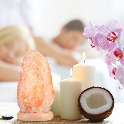 Salt lampa SALLY 1xE14/25W/230V Al 4,4 kg