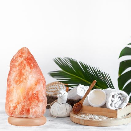 Salt lampa SALLY 1xE14/25W/230V Al 5,4 kg