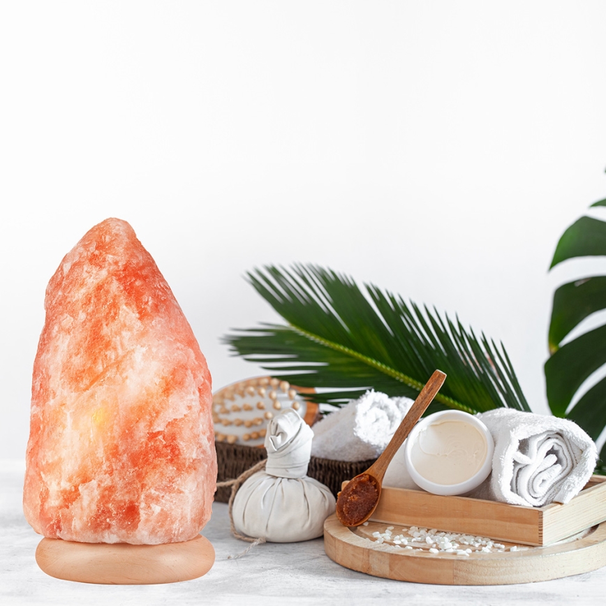 Salt lampa SALLY 1xE14/25W/230V Al 5,4 kg