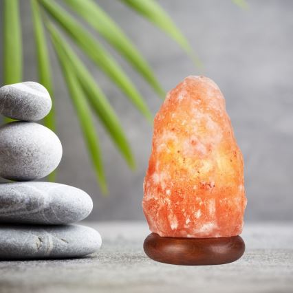 (Himalayan) Salt lampa SALLY 1xE14/25W/230V Al 2,7 kg