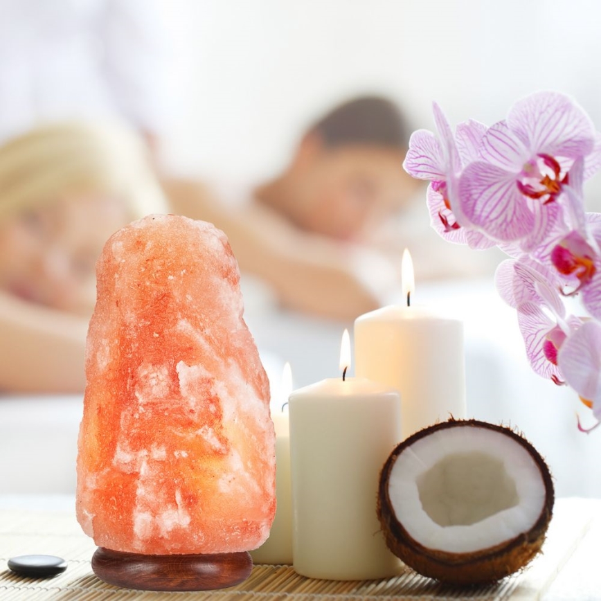 Salt lampa SALLY 1xE14/25W/230V Al 6,7 kg