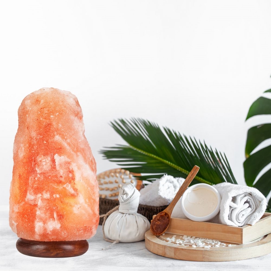 Salt lampa SALLY 1xE14/25W/230V Al 6,7 kg