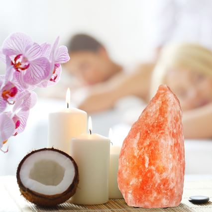 Saltlampa  SALLY 1xE14/25W/230V 5,4 kg