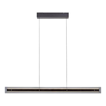 Schöner Wohnen 11316-18 - Dimmbar LED-pendel med kabel LENA LED/32W/230V 105 cm svart