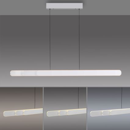 Schöner Wohnen 12577-16 - LED-dimmbar pendel med vajer ADRIANA ROUND 2xLED/24W/230V 2700/3000/3500/4000/5000K 160 cm vit