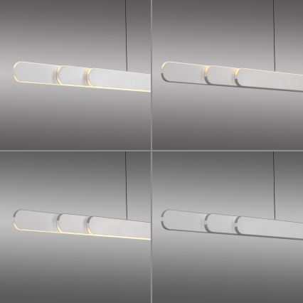 Schöner Wohnen 12577-16 - LED-dimmbar pendel med vajer ADRIANA ROUND 2xLED/24W/230V 2700/3000/3500/4000/5000K 160 cm vit