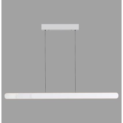 Schöner Wohnen 12577-16 - Dimmbar LED-pendellampa på vajer ADRIANA ROUND 2×LED/24W/230V 2700/3000/3500/4000/5000 K, vit