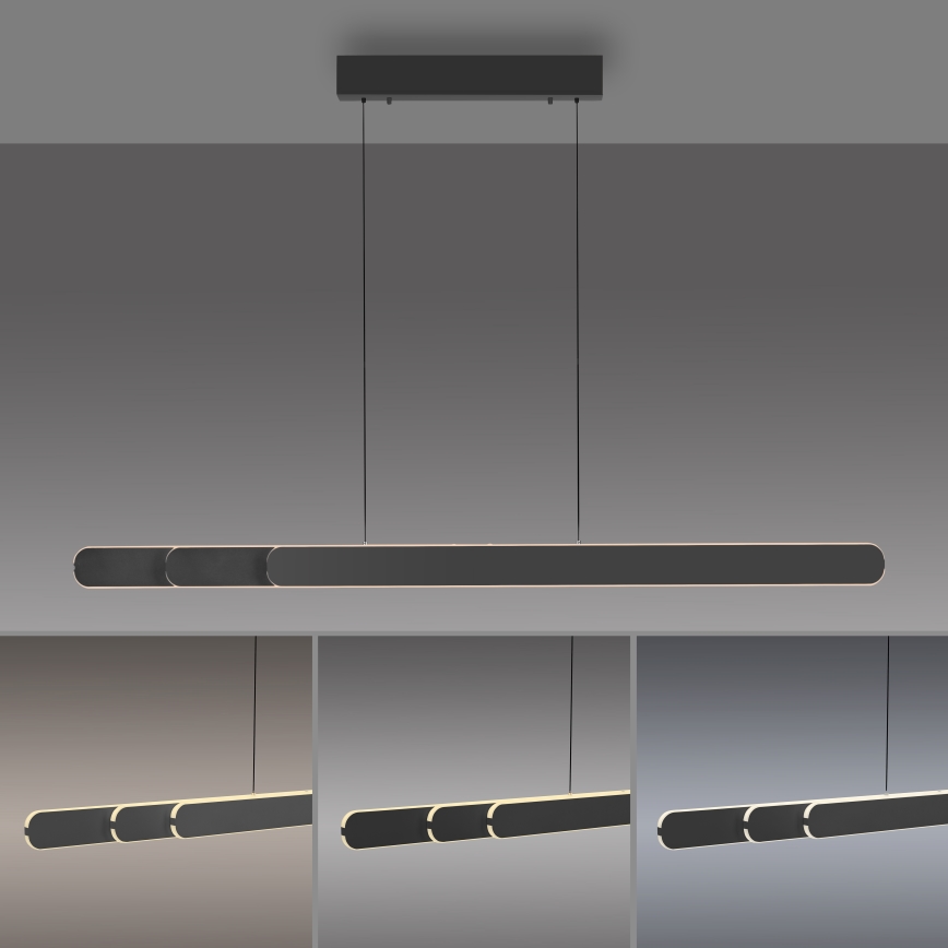 Schöner Wohnen 12577-18 - LED-dimbar hänglampa på kabel ADRIANA ROUND 2xLED/24W/230V 2700/3000/3500/4000/5000K 160 cm svart