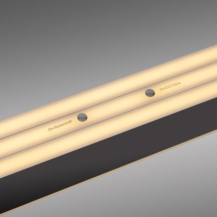 Schöner Wohnen 12577-18 - LED-dimbar hänglampa på kabel ADRIANA ROUND 2xLED/24W/230V 2700/3000/3500/4000/5000K 160 cm svart