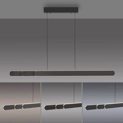 Schöner Wohnen 12577-18 - Dimbar takpendel på vajer ADRIANA ROUND 2xLED/24W/230V 2700/3000/3500/4000/5000K svart