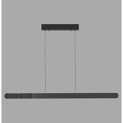 Schöner Wohnen 12577-18 - Dimbar takpendel på vajer ADRIANA ROUND 2xLED/24W/230V 2700/3000/3500/4000/5000K svart