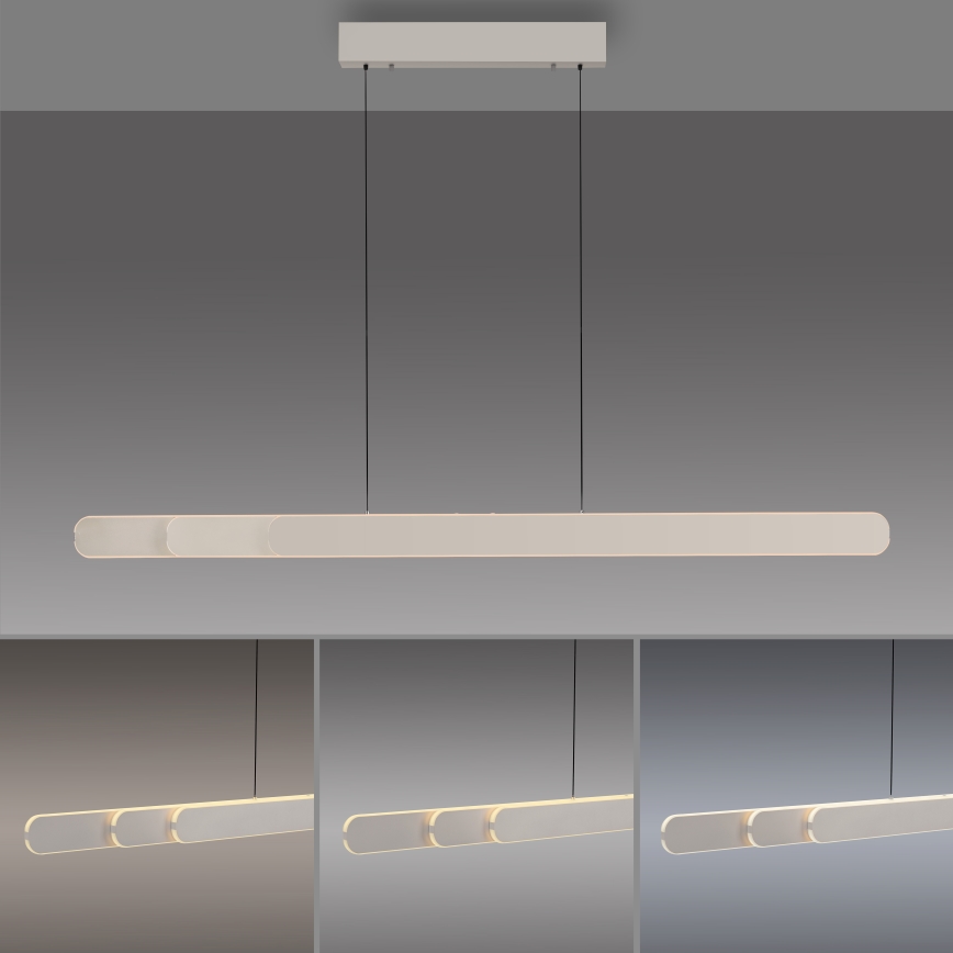 Schöner Wohnen 12577-39 - LED dimbar taklampa med vajerupphängning ADRIANA ROUND 2xLED/24W/230V 2700/3000/3500/4000/5000K 160 cm grå