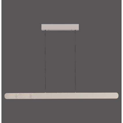 Schöner Wohnen 12577-39 - LED dimbar taklampa med vajerupphängning ADRIANA ROUND 2xLED/24W/230V 2700/3000/3500/4000/5000K 160 cm grå
