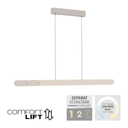 Schöner Wohnen 12577-39 - LED dimbar taklampa med vajerupphängning ADRIANA ROUND 2xLED/24W/230V 2700/3000/3500/4000/5000K 160 cm grå