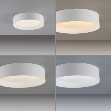 Schöner Wohnen 14593-16 - dimbar LED-takarmatur TAVOLI LED/10W/230V 2700-6500K diam. 28,5 cm vit + fjärrkontroll