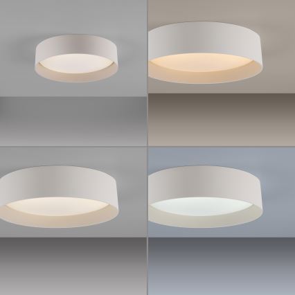 Schöner Wohnen 14593-39 - LED dimbar taklampa TAVOLI LED/10W/230V 2700-6500K pr. 28,5 cm grå + fjärrkontroll