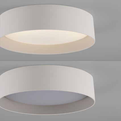 Schöner Wohnen 14593-39 - LED dimbar taklampa TAVOLI LED/10W/230V 2700-6500K pr. 28,5 cm grå + fjärrkontroll