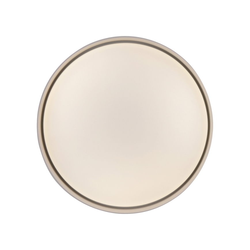 Schöner Wohnen 14593-39 - LED dimbar taklampa TAVOLI LED/10W/230V 2700-6500K pr. 28,5 cm grå + fjärrkontroll