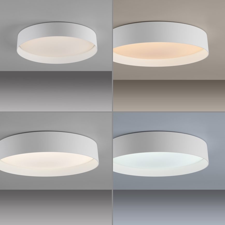 Schöner Wohnen 14594-16 - LED dimbar taklampa TAVOLI LED/20W/230V 2700–6500K Ø 39 cm vit + fjärrkontroll