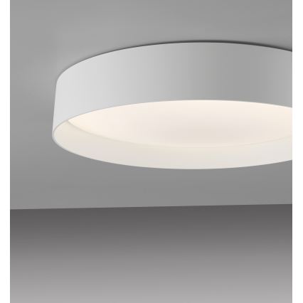 Schöner Wohnen 14594-16 - LED dimbar taklampa TAVOLI LED/20W/230V 2700–6500K Ø 39 cm vit + fjärrkontroll