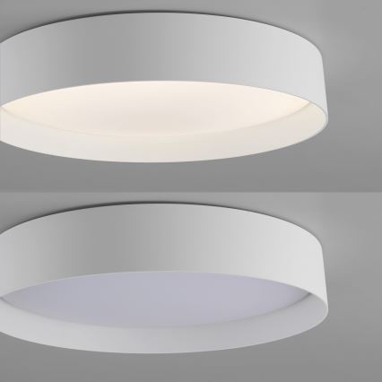 Schöner Wohnen 14594-16 - LED dimbar taklampa TAVOLI LED/20W/230V 2700–6500K Ø 39 cm vit + fjärrkontroll