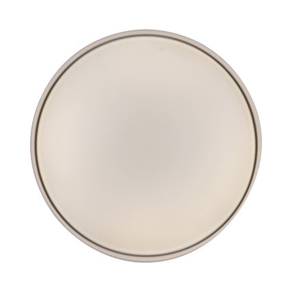 Schöner Wohnen 14594-39 - Dimbart LED-takarmatur TAVOLI, 20 W, 230 V, 2700–6500 K, Ø 39 cm, grå – med fjärrkontroll