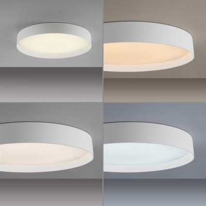 Schöner Wohnen 14595-16 - Dimmbar LED-taklampa TAVOLI LED/34W/230V 2700-6500K Ø 49 cm vit + fjärrkontroll