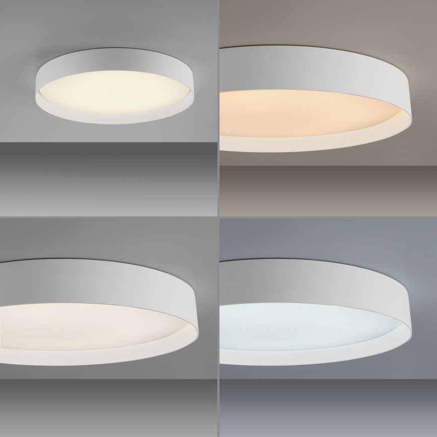 Schöner Wohnen 14595-16 - Dimmbar LED-taklampa TAVOLI LED/34W/230V 2700-6500K Ø 49 cm vit + fjärrkontroll