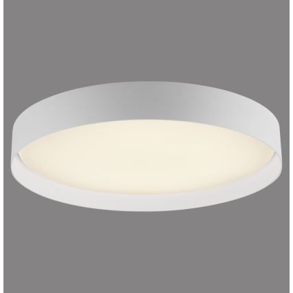 Schöner Wohnen 14595-16 - Dimmbar LED-taklampa TAVOLI LED/34W/230V 2700-6500K Ø 49 cm vit + fjärrkontroll