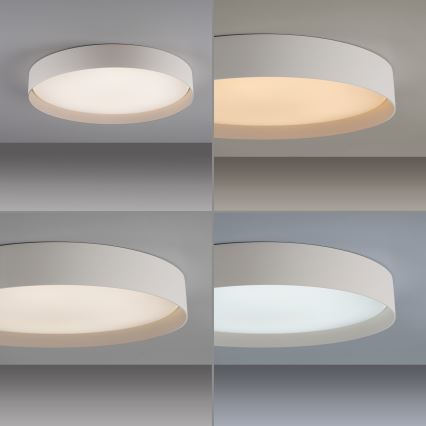 Schöner Wohnen 14595-39 - Dimbart LED-taklampa TAVOLI LED/34W/230V 2700–6500K Ø 49 cm grå, inkl. fjärrkontroll