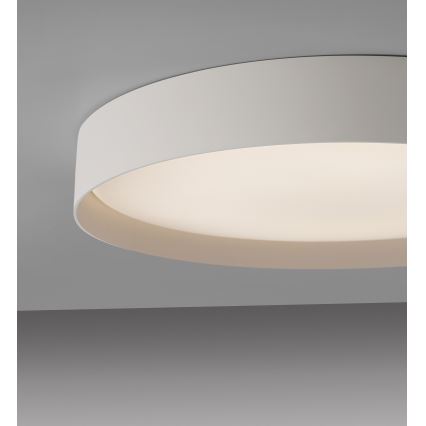 Schöner Wohnen 14595-39 - Dimbart LED-taklampa TAVOLI LED/34W/230V 2700–6500K Ø 49 cm grå, inkl. fjärrkontroll