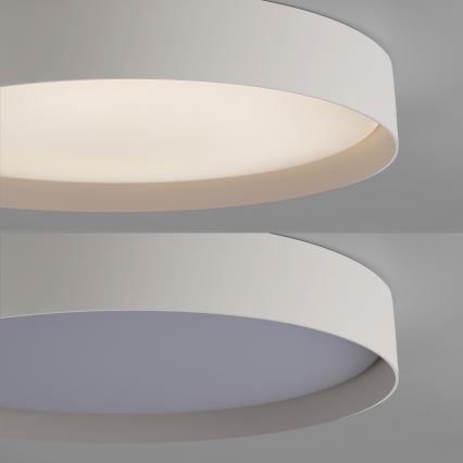 Schöner Wohnen 14595-39 - Dimbart LED-taklampa TAVOLI LED/34W/230V 2700–6500K Ø 49 cm grå, inkl. fjärrkontroll