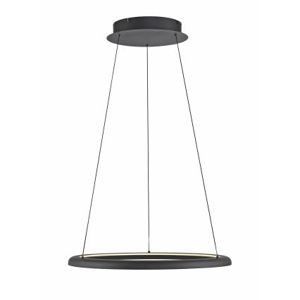 Schöner Wohnen 15570-18 - dimbar LED-pendel på kabel QUILLO LED/36W/230V Ø 60 cm svart