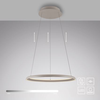 Schöner Wohnen 15570-39 - Dimmbar LED-pendel på vajer QUILLO LED/36W/230V Ø 60 cm, grå