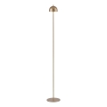 Schöner Wohnen 19245-12 - LED-dimbar, touchstyrd, uppladdningsbar utomhus golvlampa BELLIS LED/2,5W/5V 2600 mAh IP54 guld