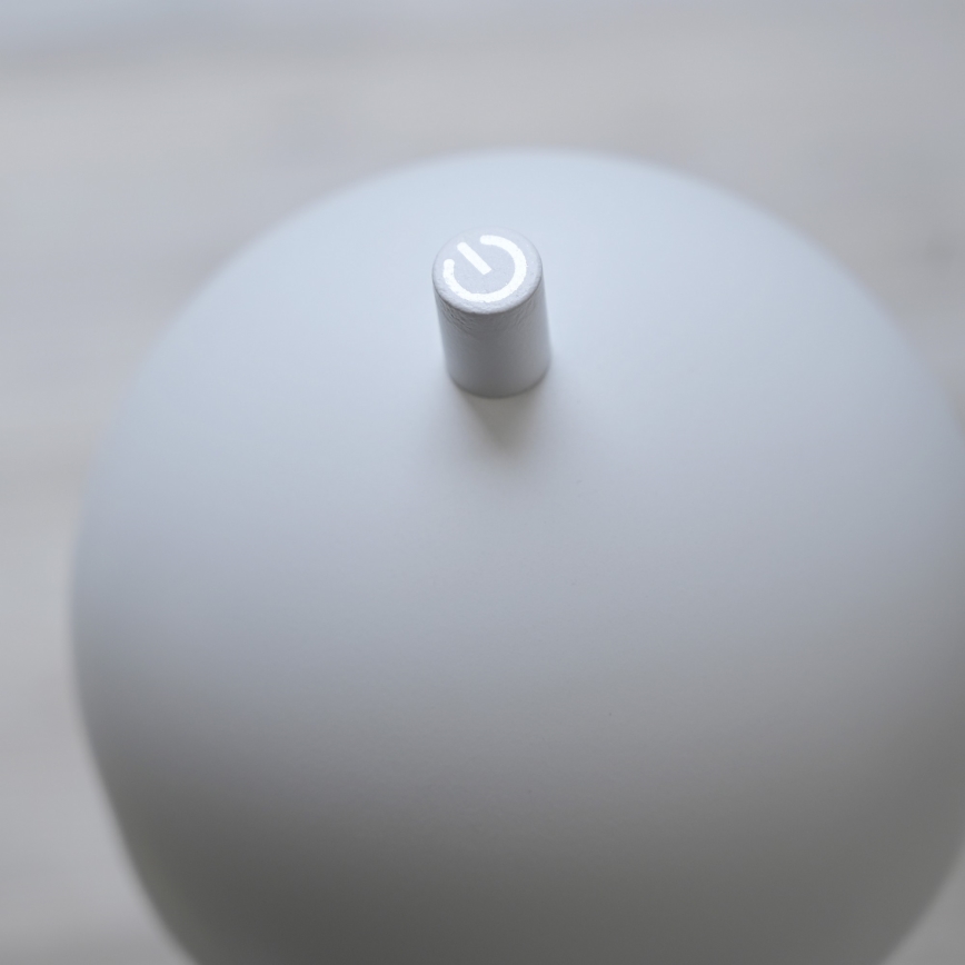 Schöner Wohnen 19245-16 - LED dimbar beröringsstyrd uppladdningsbar utomhusgolvlampa BELLIS LED/2,5W/5V 2600 mAh IP54 vit