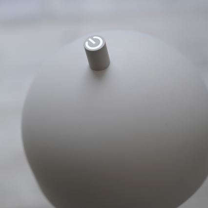 Schöner Wohnen 19245-39 - Dimbar touchstyrd uppladdningsbar utomhus-golvlampa BELLIS LED/2,5W/5V 2600 mAh IP54 grå