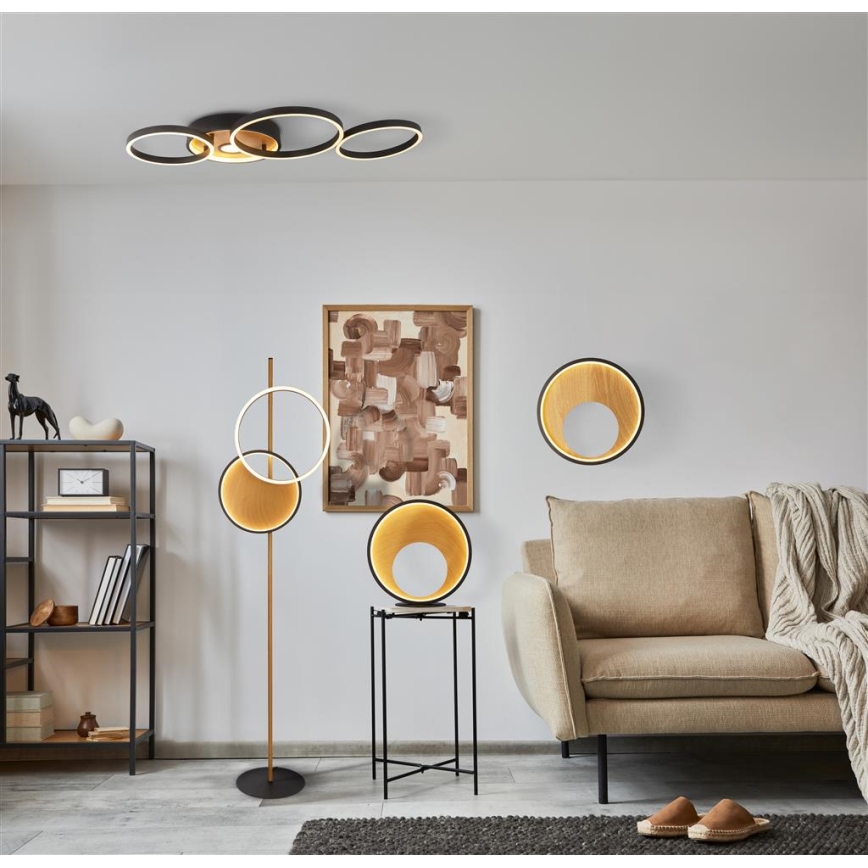 Searchlight - LED väggbelysning CURIO LED/11W/230V brun