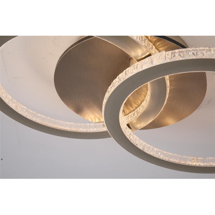Searchlight - LED-taklampa med dimmerfunktion SPECS LED/24W/230V 3000K 25x42,5 cm