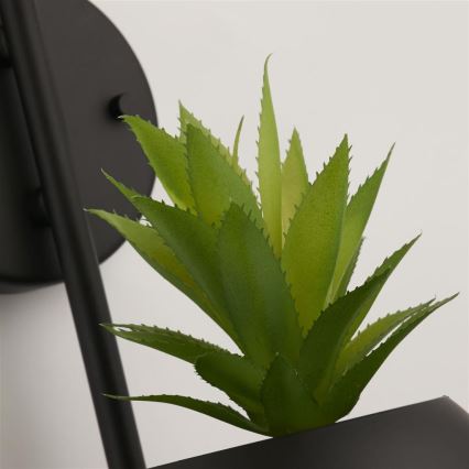 Searchlight - Väggarmatur LUNAR 1xG9/4W/230V