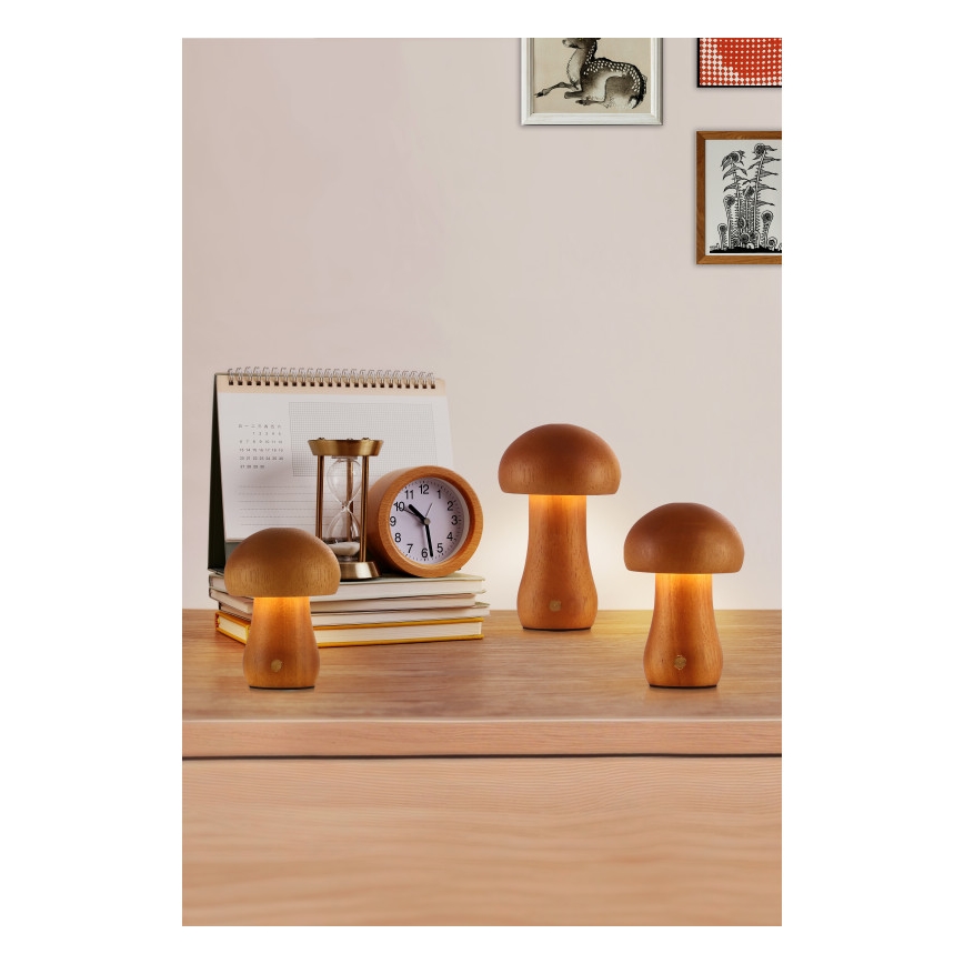 Searchlight - Set om 3 LED-bordslampor MUSHROOM LED/1,1W/5V 800 mAh