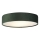 Searchlight - Taklampa DRUM 3xE27/60W/230V grön