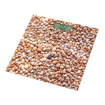 Sencor - Digital personvåg med LCD skärm 1xCR2032